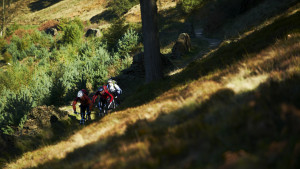 Wilderness mountain biking