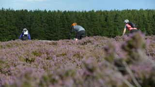 British Cycling and Welsh Cycling welcome consultation aiming to make it easier for cyclists to access the countryside