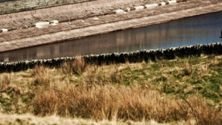 Velo29 Daffodils Sportive entries open